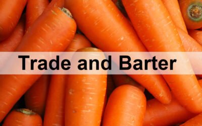 The Merits of Trade and Barter