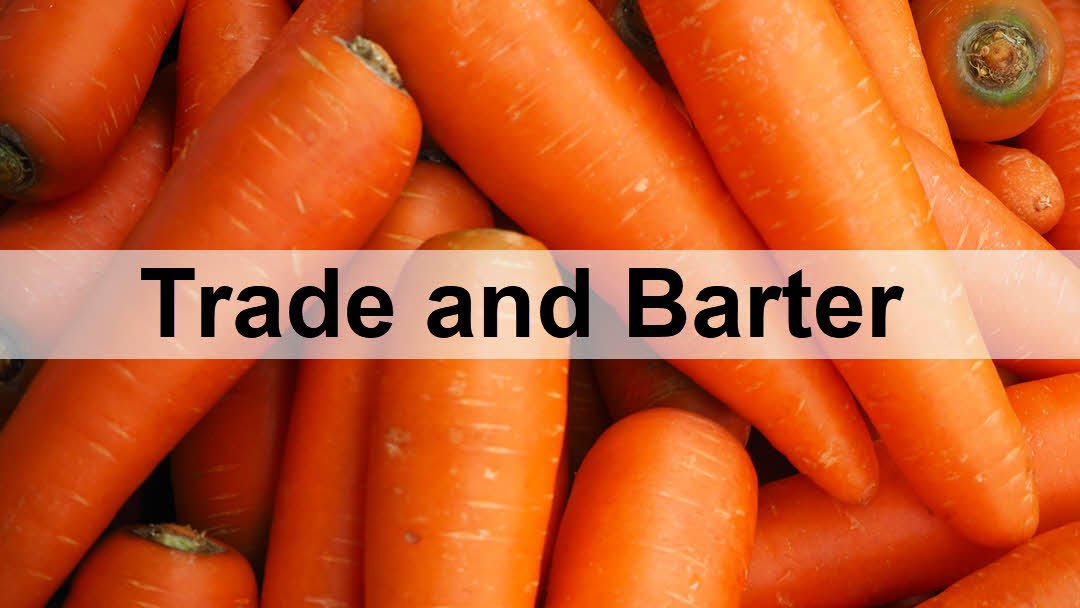 The Merits of Trade and Barter